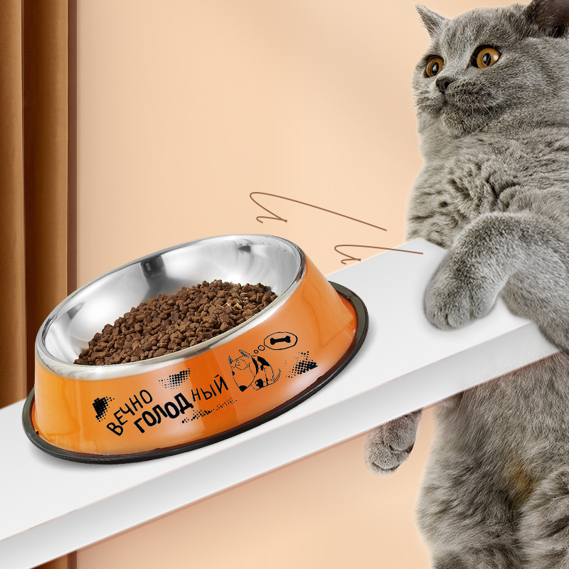 Pet supplies: Colored bowls, decals, stainless steel dog bowls, dog bowls, cat bowls, colored feeding bowls, pet bowls details Picture