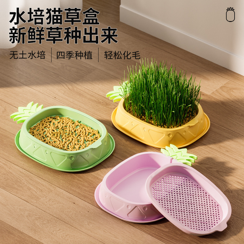 The original pineapple cat grass box is designed for soilless hydroponics with a layered design to expel hairballs and dissolve hair, promoting digestion and cultivation