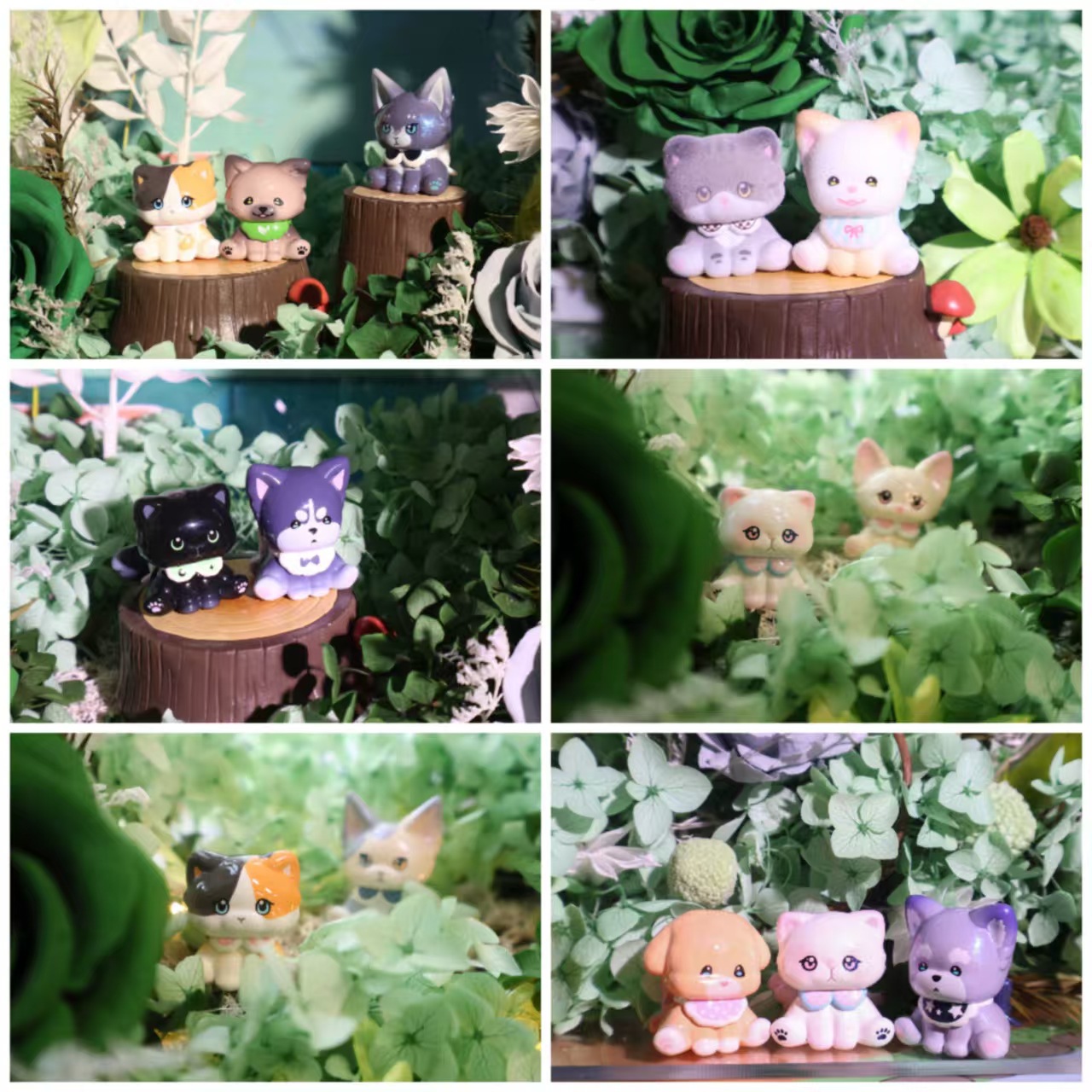 import白底实物图