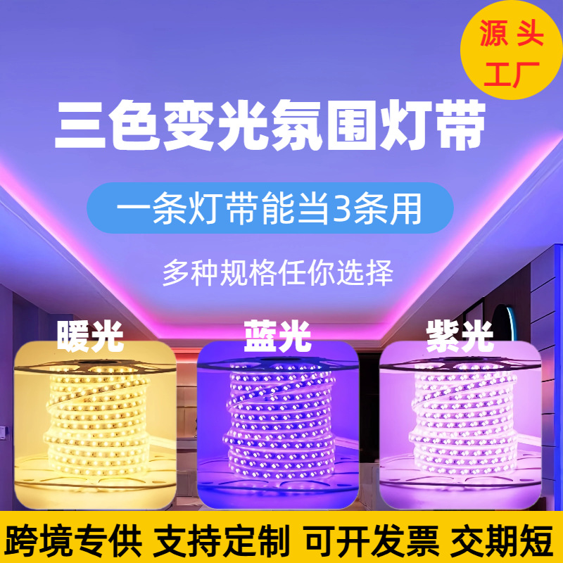 led三色变光灯带外贸专供220V室内吊顶新年氛围超亮户外防水灯条图