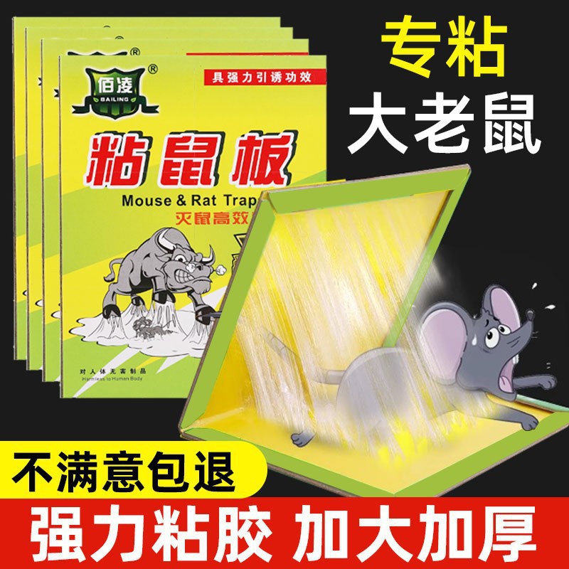 强力胶泥/E6000胶水/胶水/摩托车胎胶水细节图