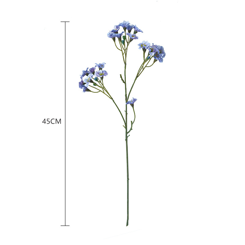 import白底实物图