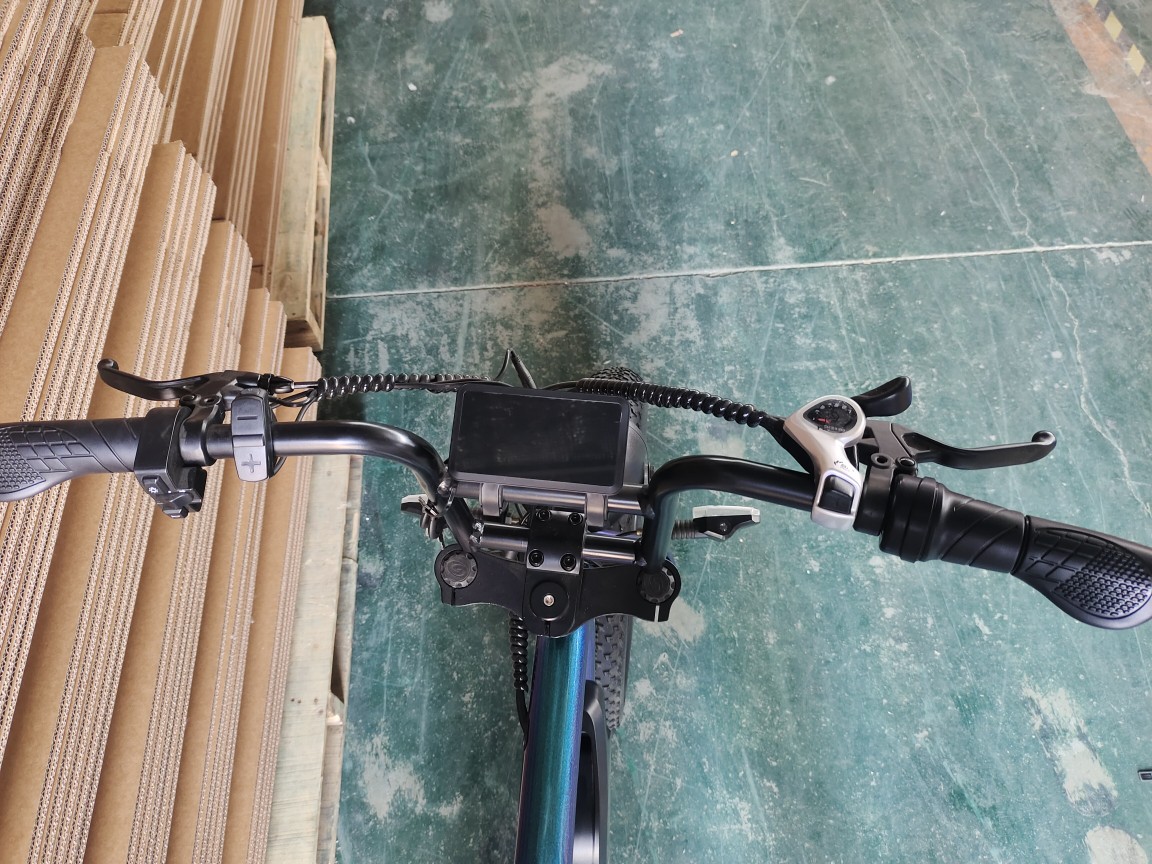 20-inch lithium battery-powered mountain biking, adult variable speed, male and female student off-road electric racing bike riding Application Scenario