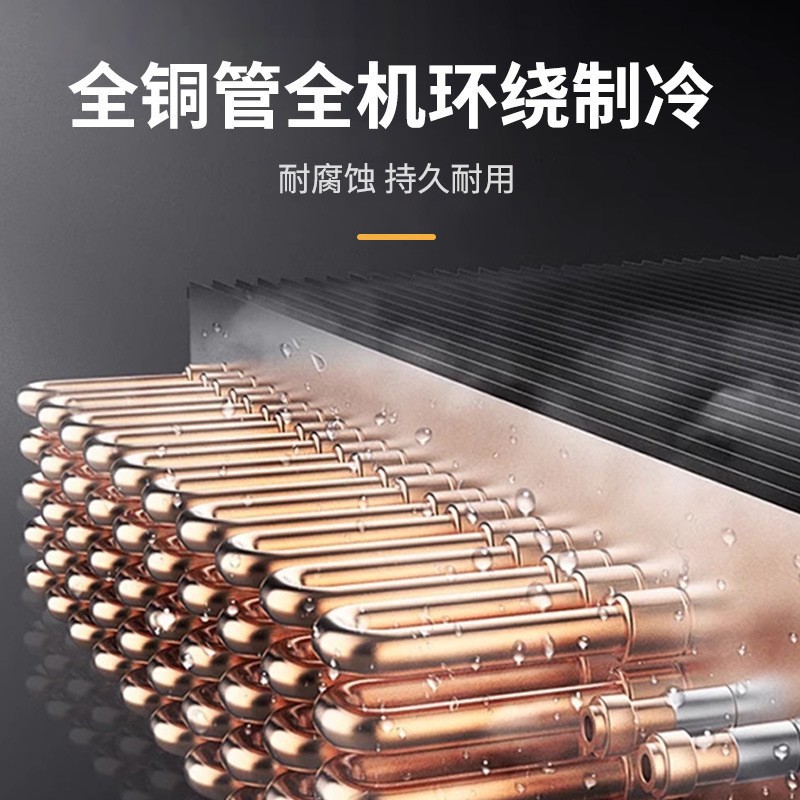 Commercial large-capacity embryo drying cabinets, intelligent air-drying cabinets for roast duck and goose, hanging duck cabinets for roast meat stores, air-cooled dehumidification and preservation cabinets details Picture