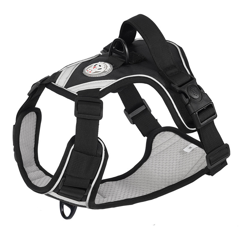 狗狗牵引实物图