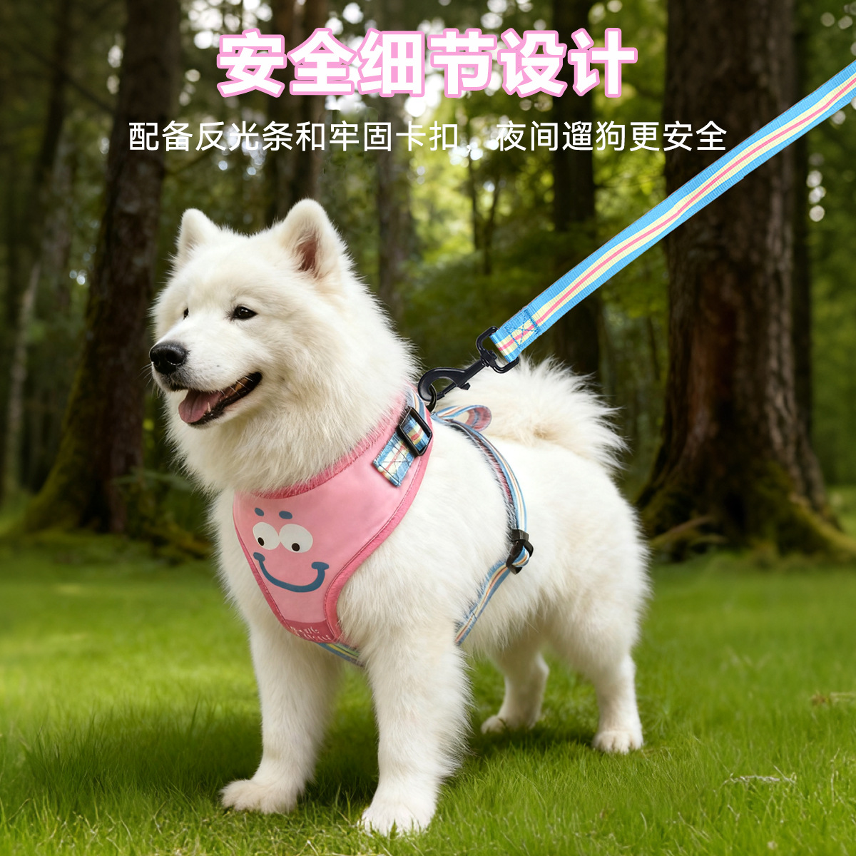 唛迪宠物用品BSCI工厂时尚新款配色猫咪狗狗胸背带牵引绳遛狗绳项圈细节图