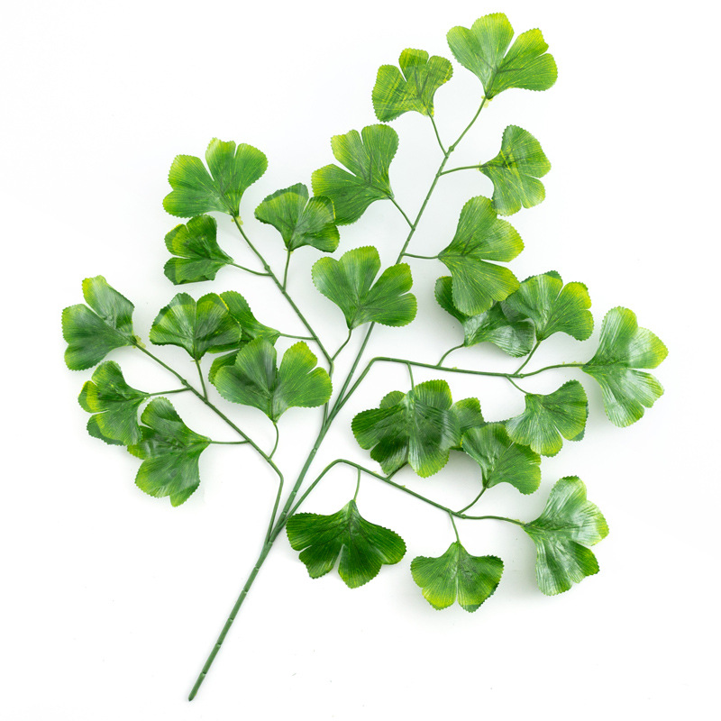 仿真蕨类实物图