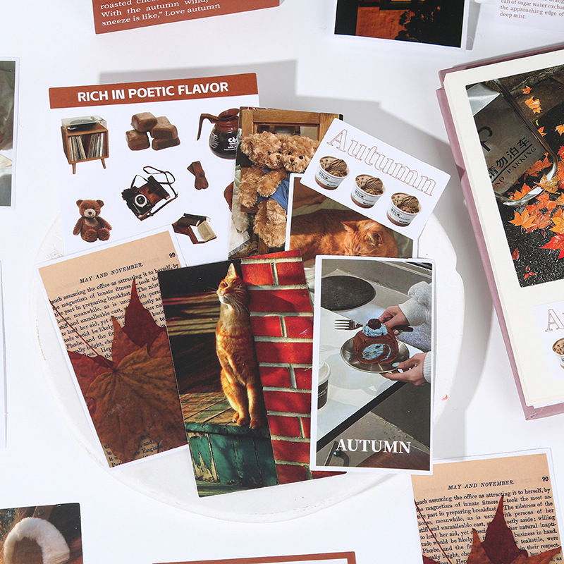 鑫奇新 50张四季予你贴纸包 春夏秋冬韩系浪漫装饰手账痛包素材包详情图2