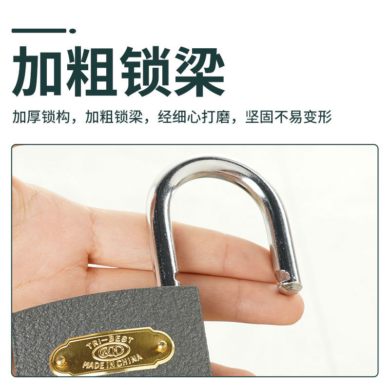 锁子门锁通用型挂锁家用锁具大门锁宿舍柜子锁子小号铜锁头特迷你白底实物图