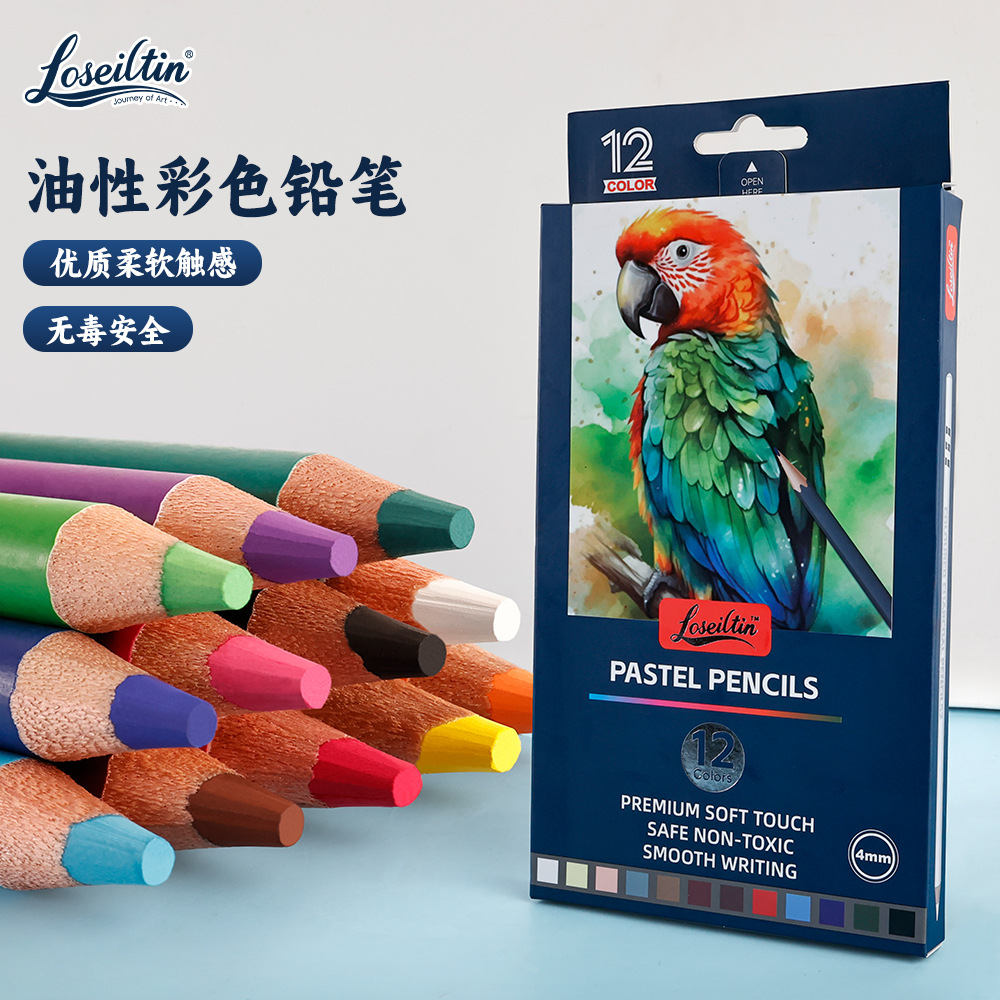 欣博文外贸12色油性彩铅套装粗芯美术生儿童绘画涂色素描彩色铅笔