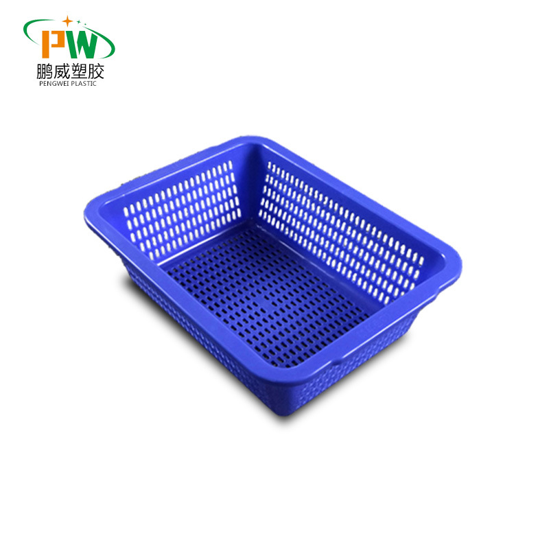 import白底实物图