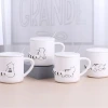 Creative and simple embossed lazy Cat ceramic cup, office home, girls' drinking water with covered spoon, milk coffee mug details Picture