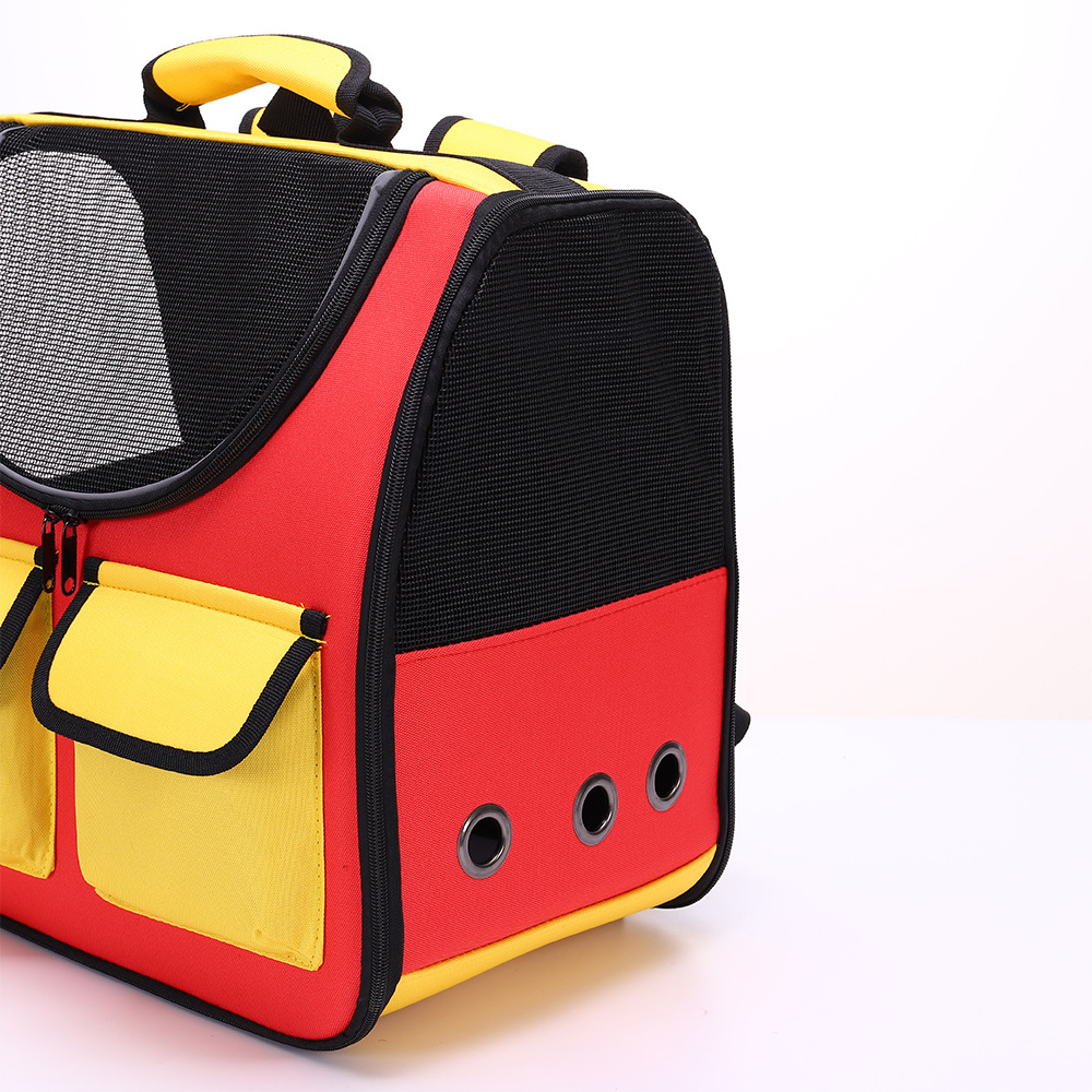 猫猫包、箱实物图