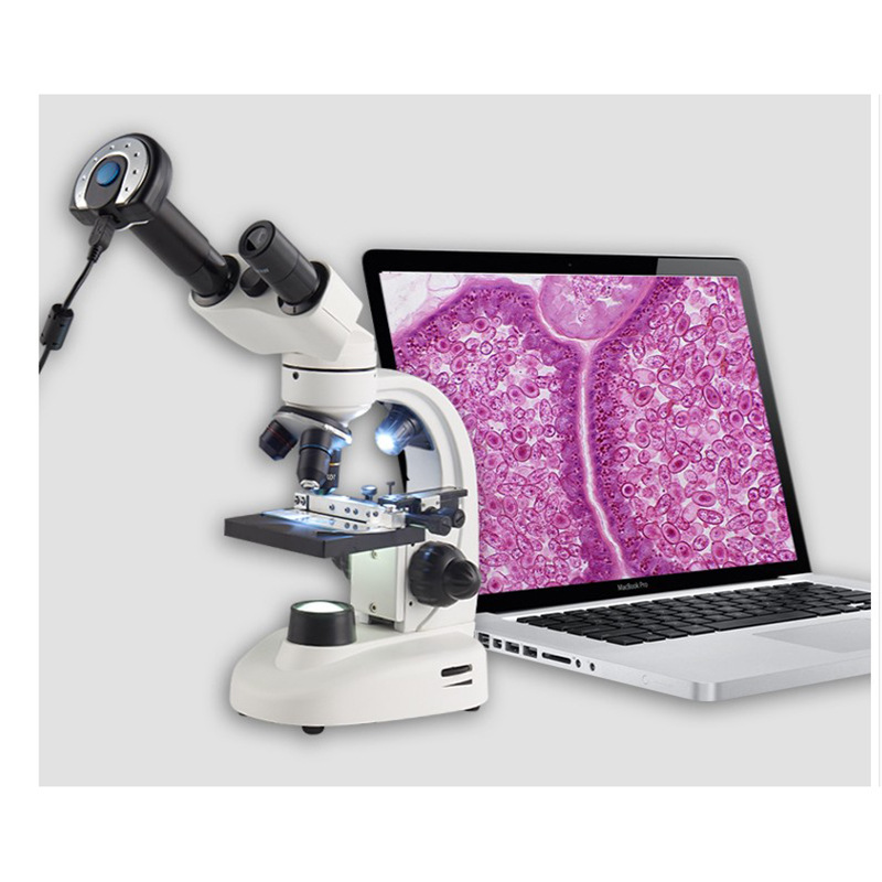 1.3 million electronic eyepiece microscope USB interface high-definition CCD eyepiece accessories high-definition electronic eyepiece wholesale Application Scenario
