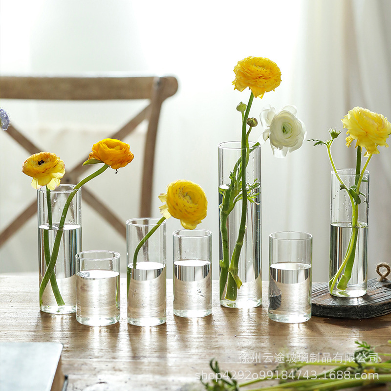现代简约透明玻璃花瓶客厅装饰摆件富贵竹轻奢水培干花插花器批发