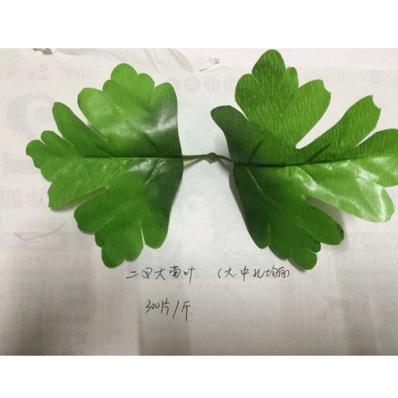 仿真蕨类实物图