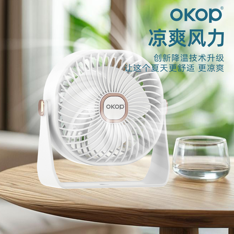 风扇/变频20寸电风扇/电风扇/小型喷雾风扇/吊风扇细节图