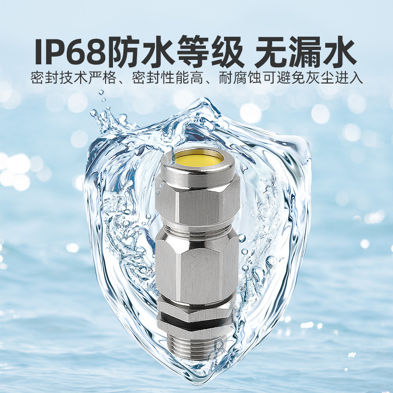 Extended stainless steel explosion-proof gran head armored explosion-proof metal cable waterproof joint, Marine double-sealed stuffing box Specification drawing