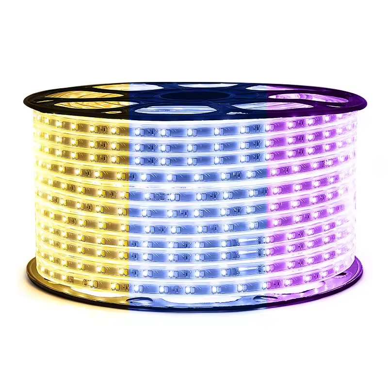 灯带/COB灯带/led灯带/Led灯带/灯条灯带白底实物图