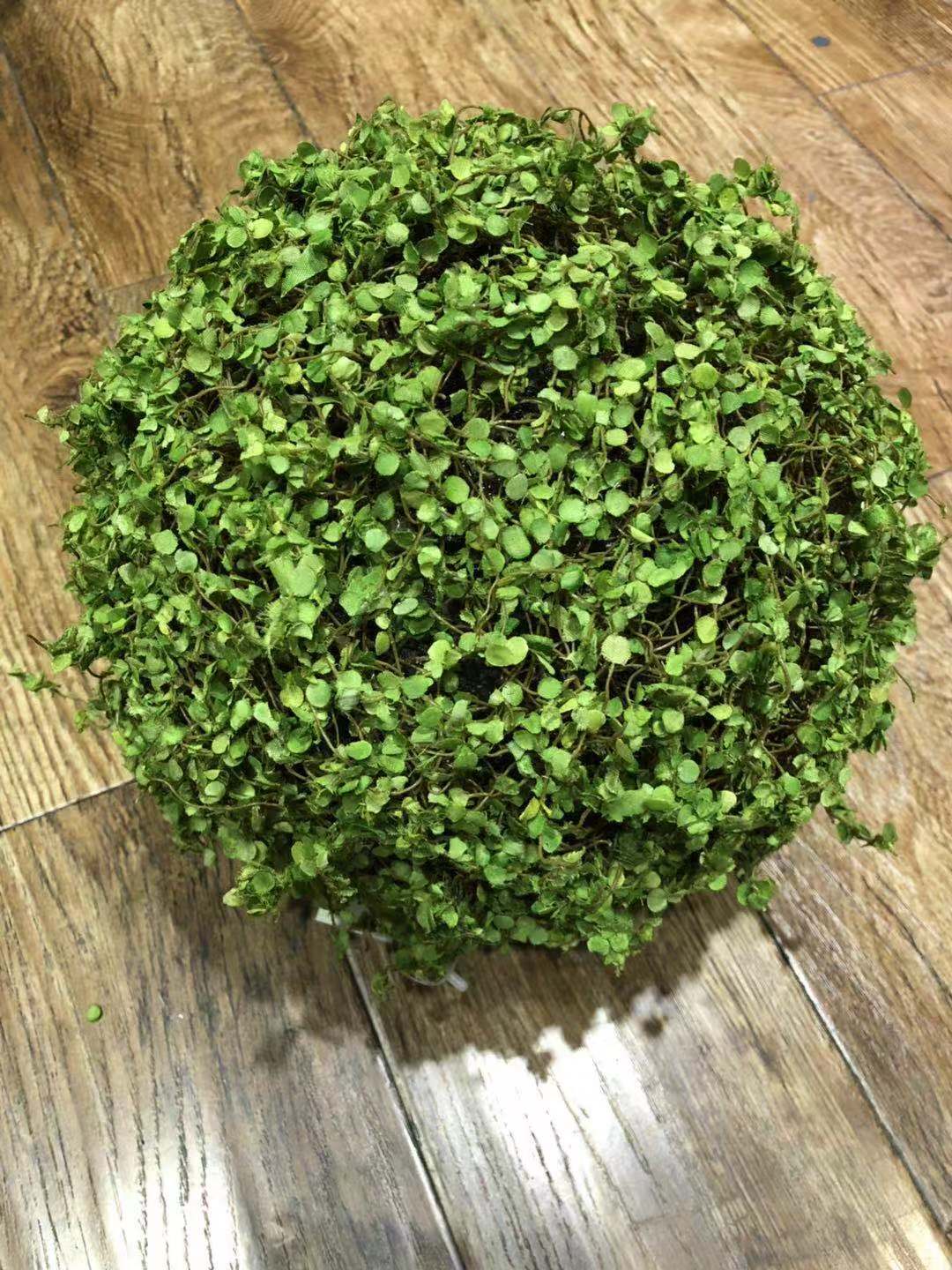 多肉仿真花/花篮装饰/柳编/凤眼菩提/挂件细节图