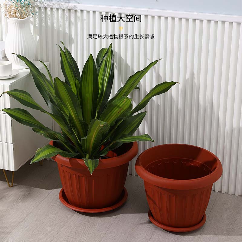 花盆/塑料花盆/水培花盆/陶瓷花盆/花盆内盒细节图