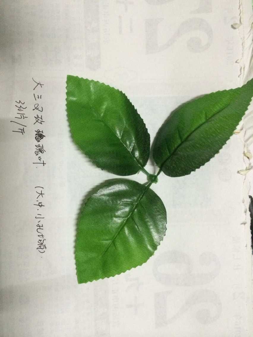 仿真蕨类实物图