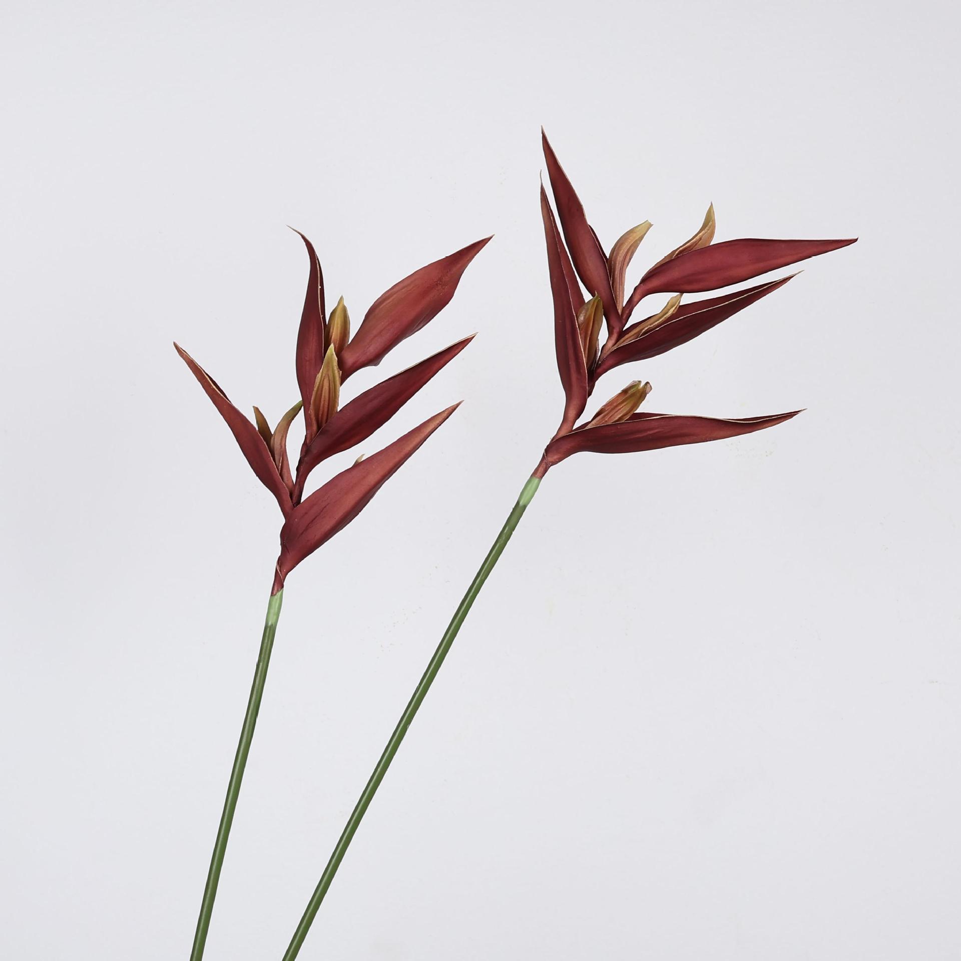 仿真鹤望兰火鹤天堂鸟仿真花假花婚庆摄影道具造景插花花材装饰花细节图