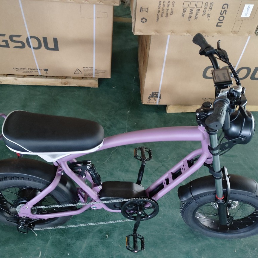 New energy smart ebike, fat tire lithium battery-assisted bicycle, electric snowmobile, off-road beach buggy Application Scenario