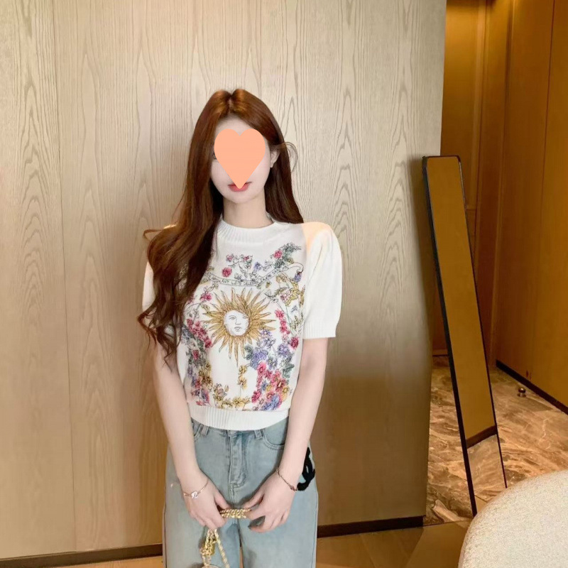 Zhong Feifei's Spring embroidered knitted sweater, short-sleeved sweater, women's 2025 new style, unique and beautiful top, super elegant and good-looking Application Scenario