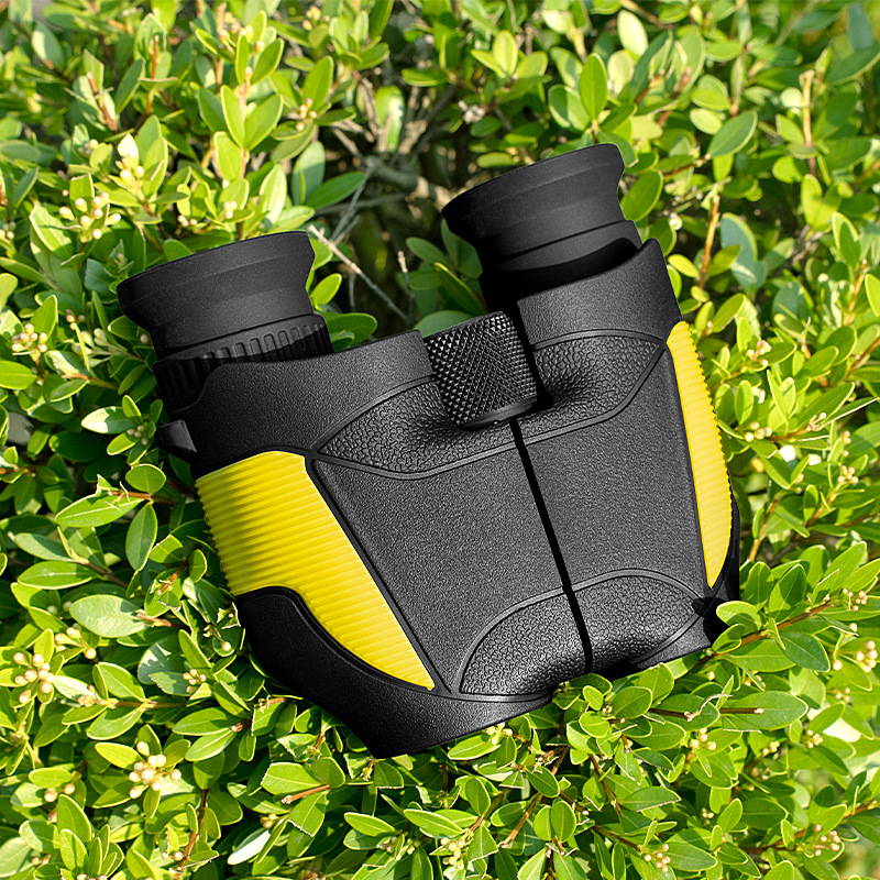 10X25 Little Paul Binoculars Concert Competition Low-Light Night Vision Compact Portable Color Binoculars Application Scenario
