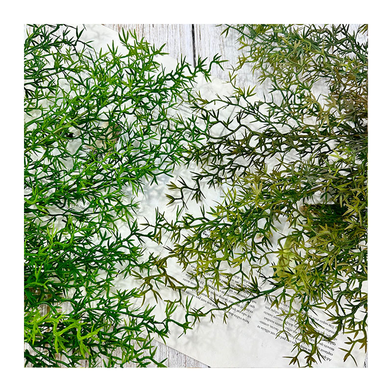 伊斯兰白底实物图