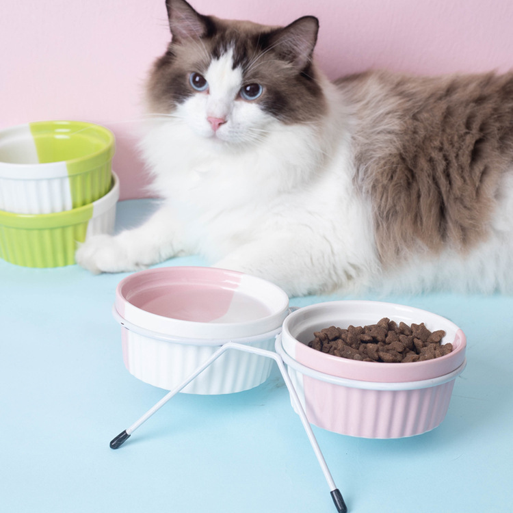 Ceramic double-bowl cat bowl for drinking water, pet cat food, dog and cat food, rice bowl stand, high feet, slanted mouth, neck guard Application Scenario