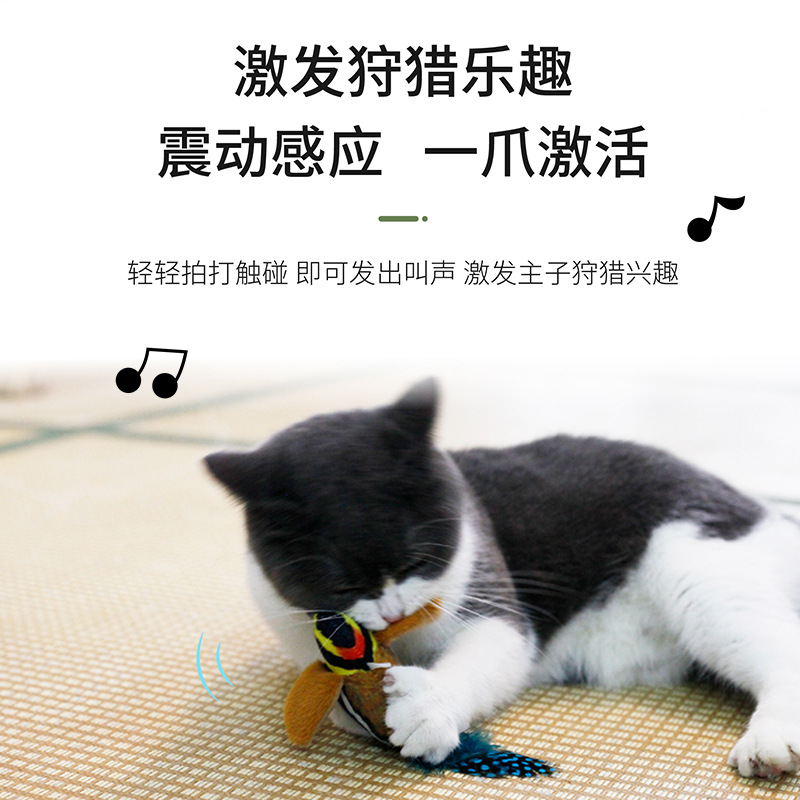 宠物猫咪耐磨专用玩具叫叫鸟发声毛绒玩具猫自嗨解闷神器自动逗猫细节图