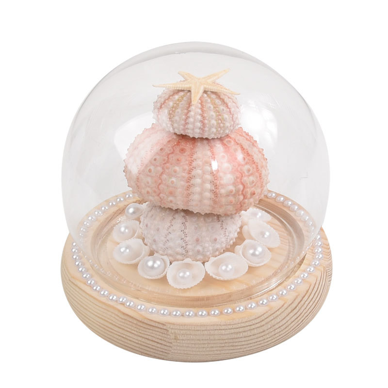 海胆氛围灯 diy材料包手工制作圆球玻璃罩小夜灯海星摆件生日礼物白底实物图