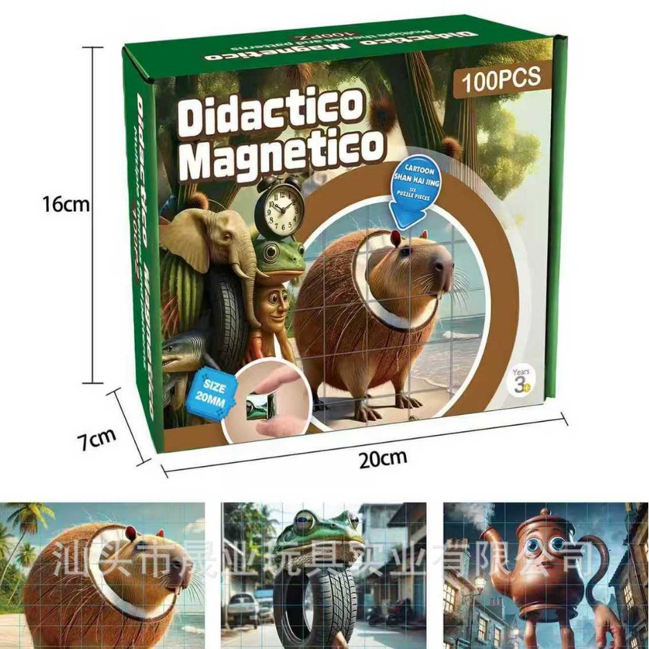 My magnetic blocks, Shan Hai Jing, children's assembly, educational, regular building blocks, math teaching AIDS, spatial thinking, cross-border details Picture