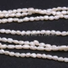 The factory wholesals a large quantity of natural freshwater pearl rice-shaped pearls - with specifications ranging from 2.5 to 3mm Item Picture