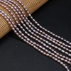 Exquisite natural freshwater pearl rice beads DIY jewelry accessories, handcrafted jewelry necklaces, semi-finished product production and wholesale details Picture