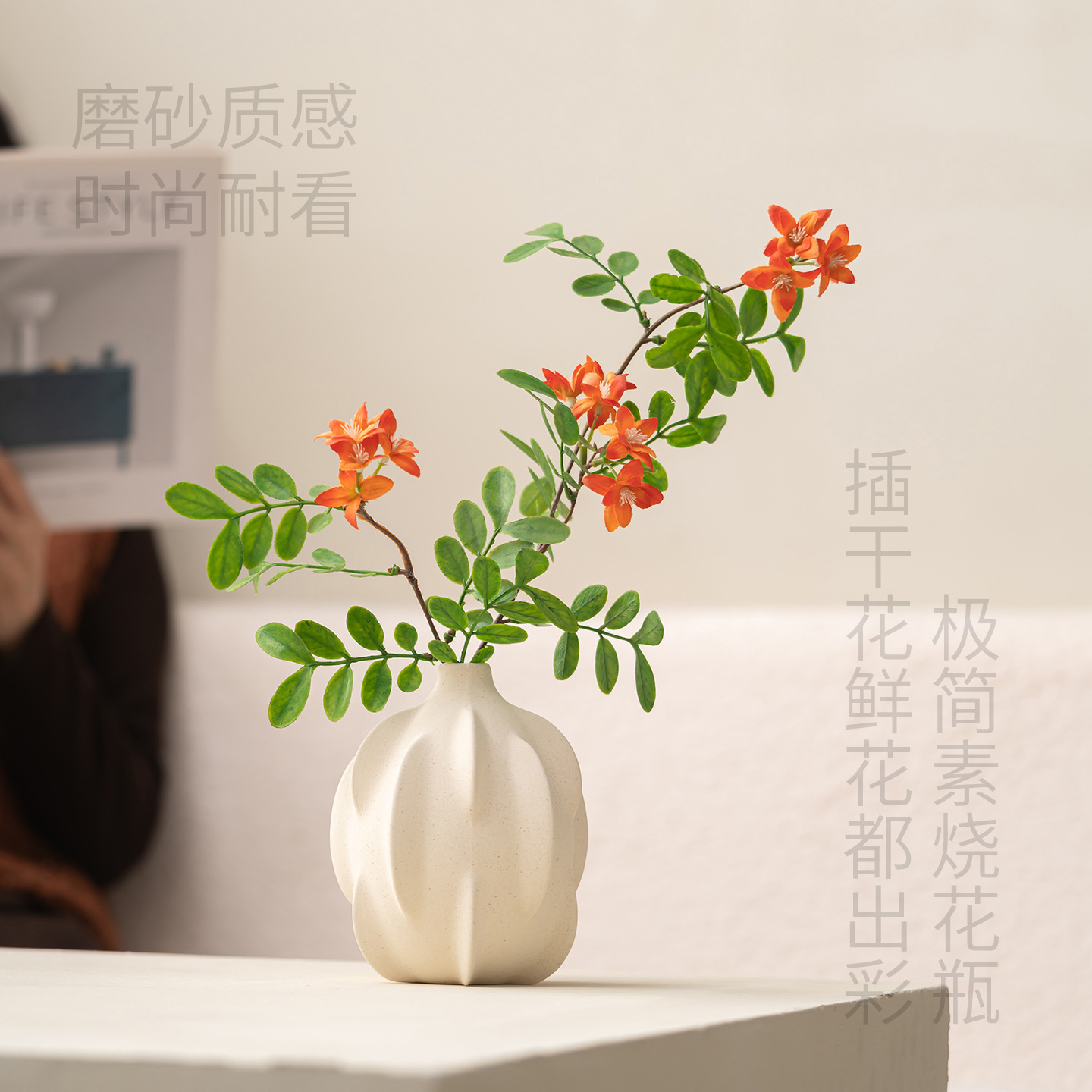 Cross-border wholesale and shipping of 2026 new ceramic vases, home hydroponic flower arrangements, tabletop and living room modern decorations Application Scenario