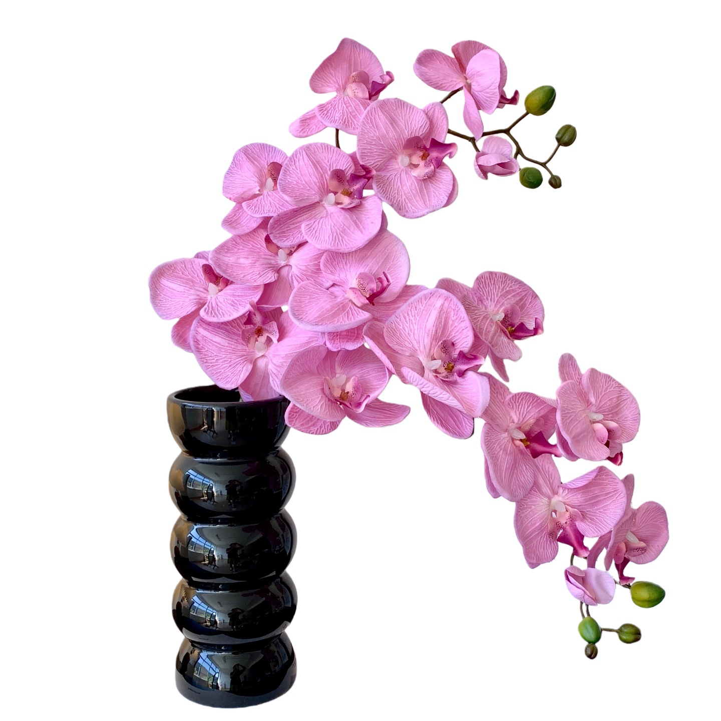 白桦树树叶/春天花园/微缩树桩古树/绿植仿真树/白桦树叶子白底实物图