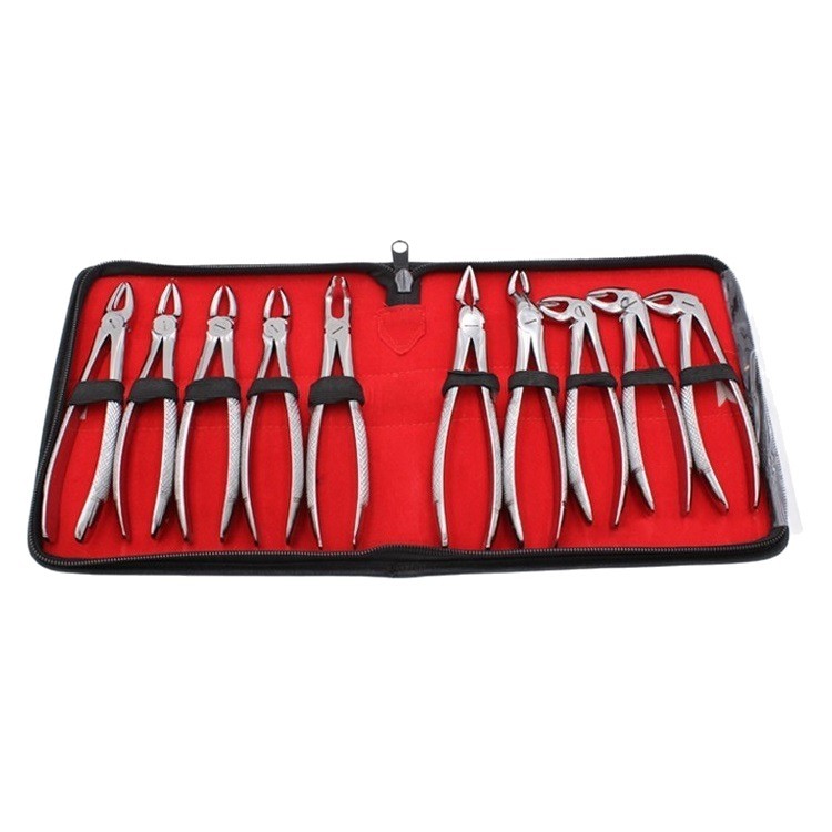 Cross-border exclusive dental tooth extraction tools, stainless steel tooth extraction pliers 10-piece set with storage bag, orthodontic pliers, dental pliers Item Picture
