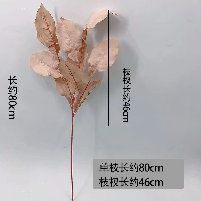 仿真蕨类实物图