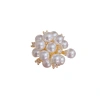 Korean-style elegant, fashionable, gentle and versatile firework pearl buckle pin women's light luxury simple fixed clothes suit pin Application Scenario