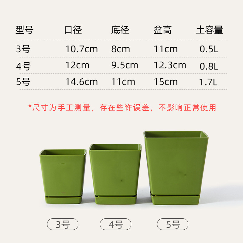 盆栽实物图