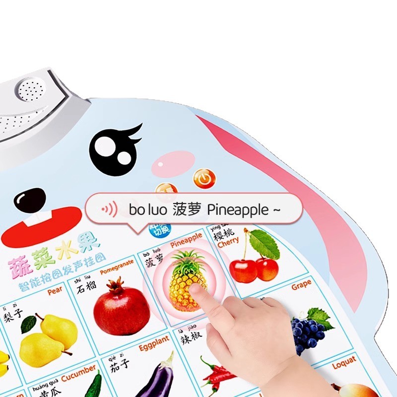 儿童挂卡识字/婴儿有声挂图/儿童立体书/星星头圈圈/我的世界白底实物图