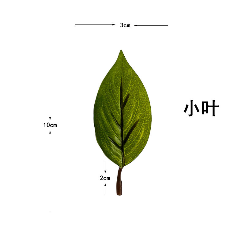 仿真蕨类实物图