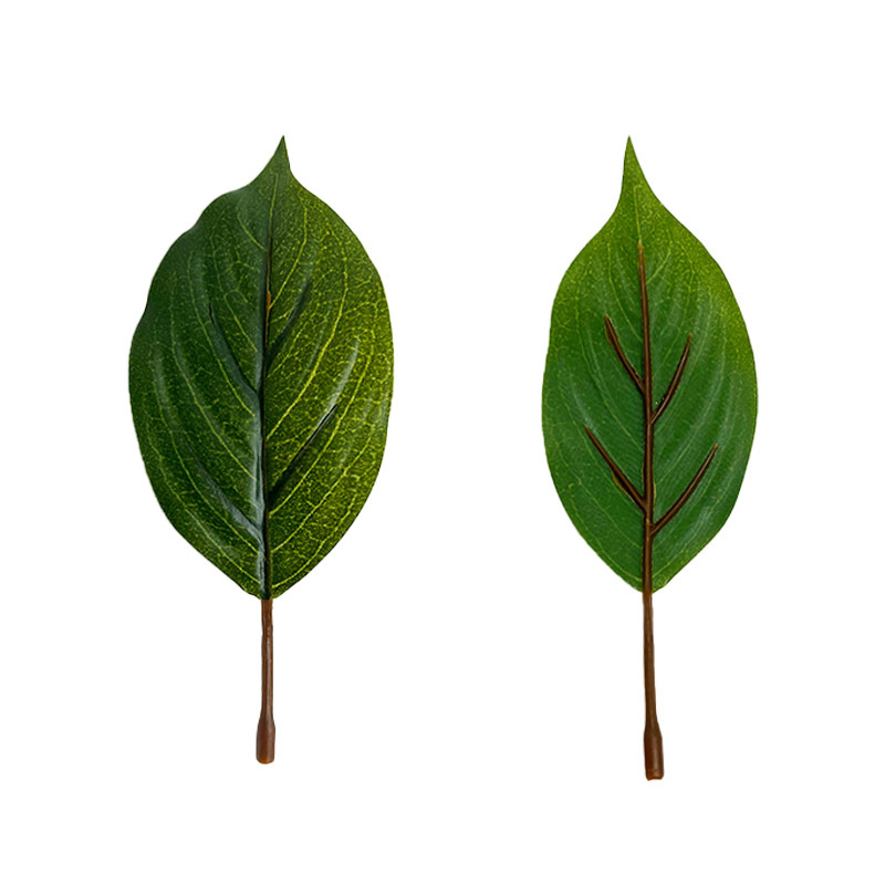 仿真猕猴桃叶假树叶家居室内装饰单片假奇异果叶摆件布置厂家批发白底实物图