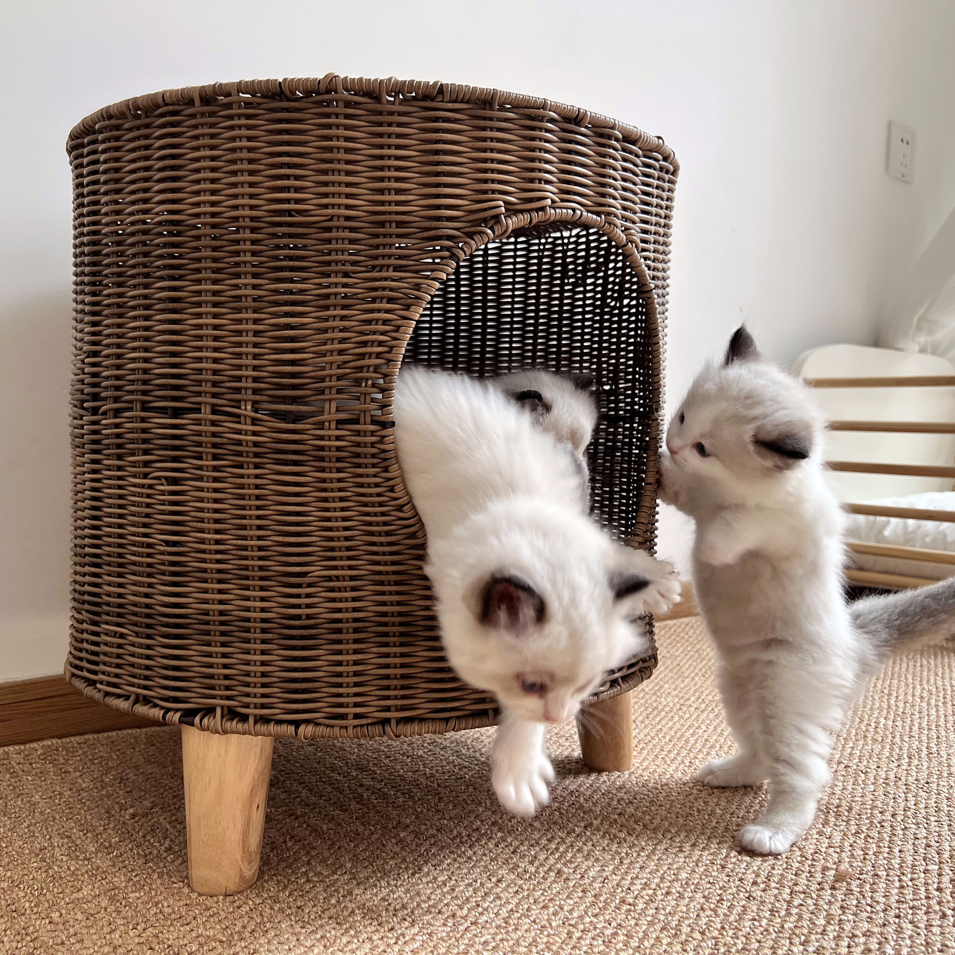 猫爬架/宠物用品/猫别墅/鸟窝/猫窝产品图
