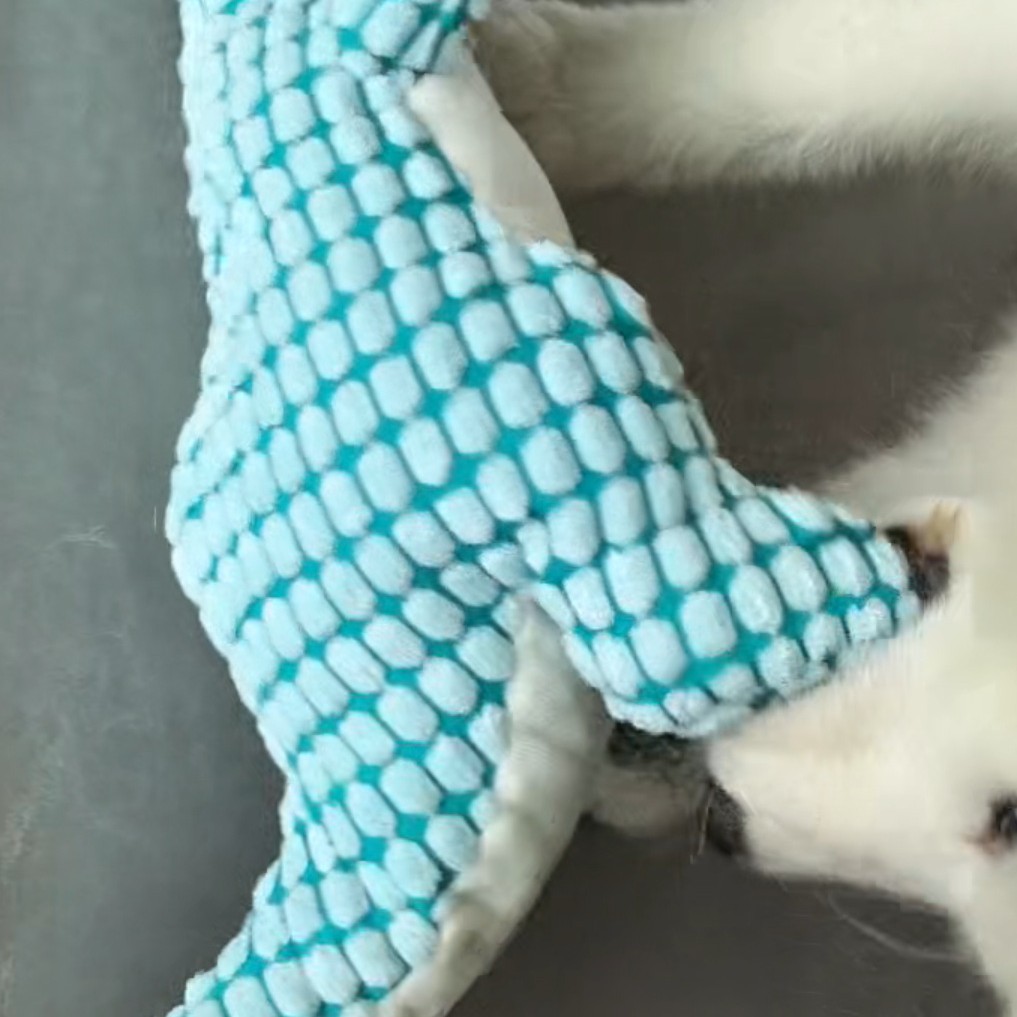 Three-Color Dinosaur-Shaped Interactive Chewing Toys For Pet Dogs Are Soft, Comfortable And Suitable For Dogs To Chew And Grind details Picture