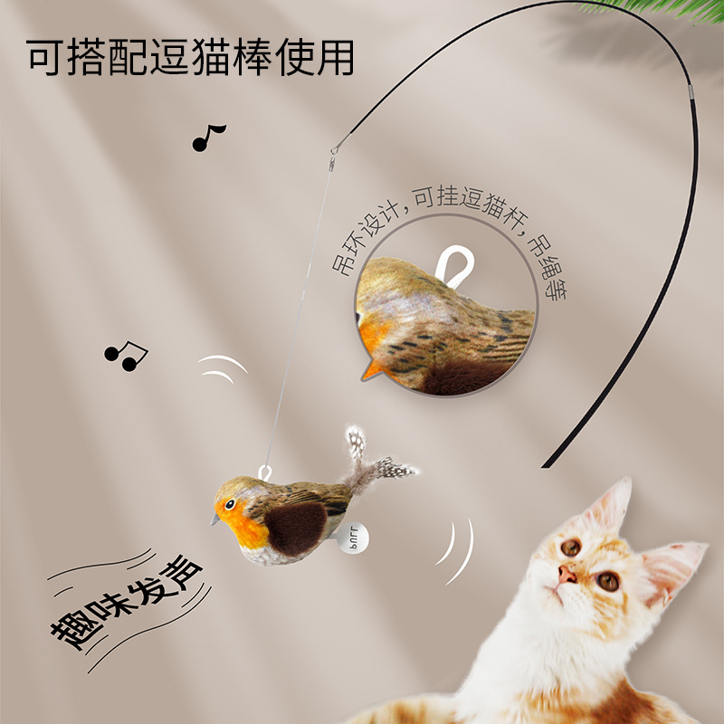 有声挂图实物图