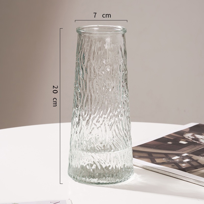 Cono cubo jarrón de vidrio nórdico ins viento simple gran tamaño transparente agua regado rico bambú escritorio sala de estar arreglo floral Application Scenario